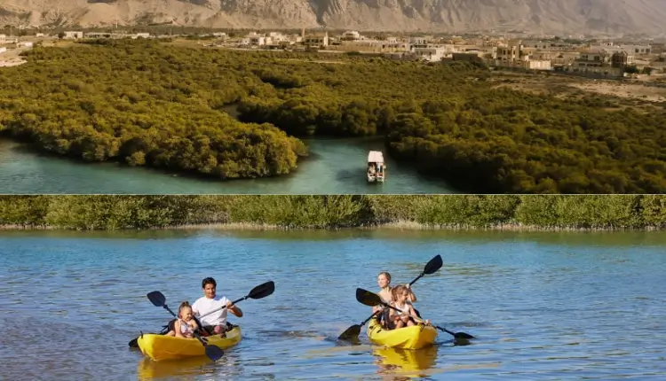 Nature filled waters perfect for calm kayaking